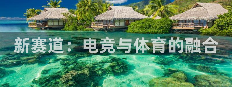 新赛道：电竞与体育的融合