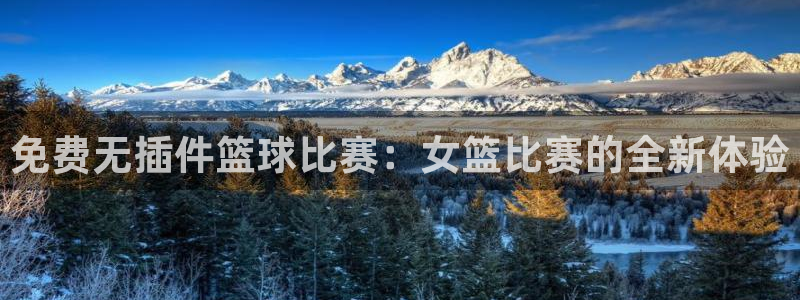 免费无插件篮球比赛：女篮比赛的全新体验
