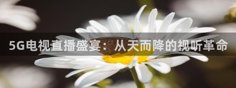 5G电视直播盛宴：从天而降的视听革命