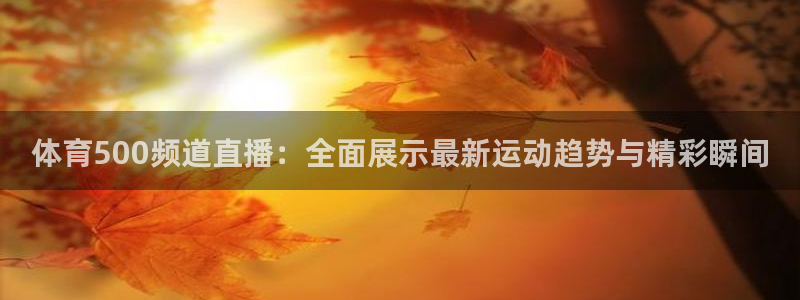 体育500频道直播：全面展示最新运动趋势与精彩瞬间
