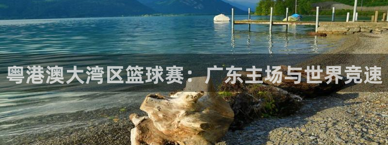 粤港澳大湾区篮球赛：广东主场与世界竞速