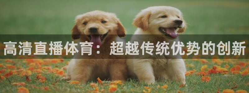 高清直播体育：超越传统优势的创新